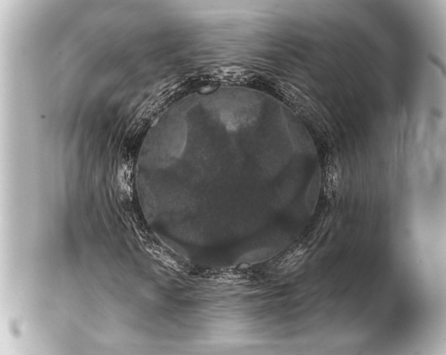 X0000100891010200807011152