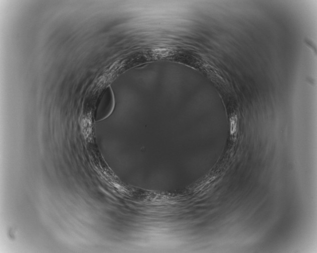 X0000100891011200807011152