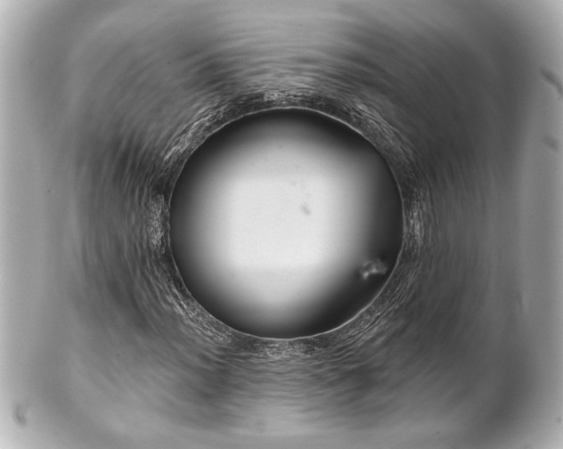 X0000100891012200807011152