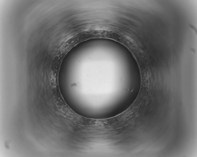 X0000100891013200807011152