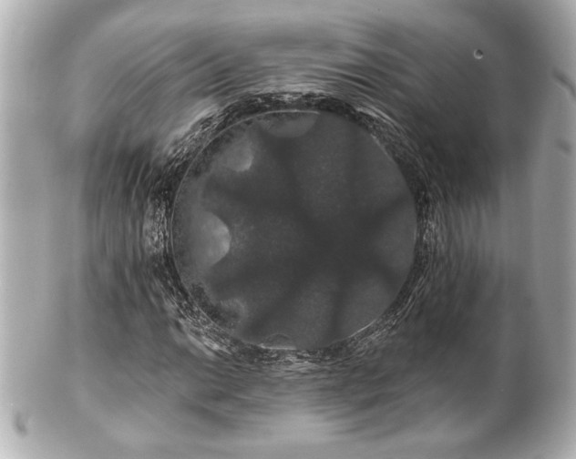 X0000100891014200807011152