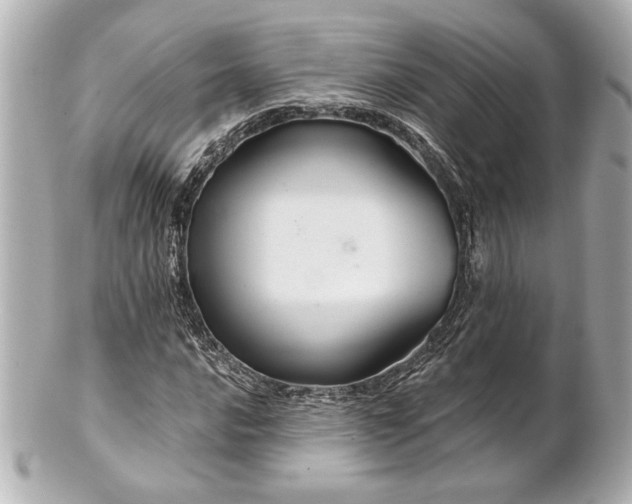 X0000100891016200807011152