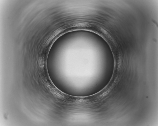 X0000100891017200807011152