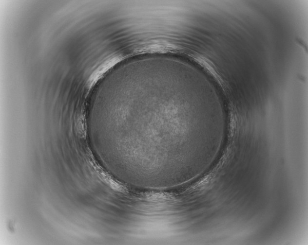 X0000100891018200807011152