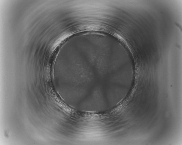 X0000100891019200807011152