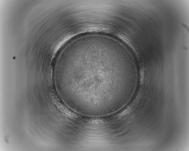 X0000100891021200807011152