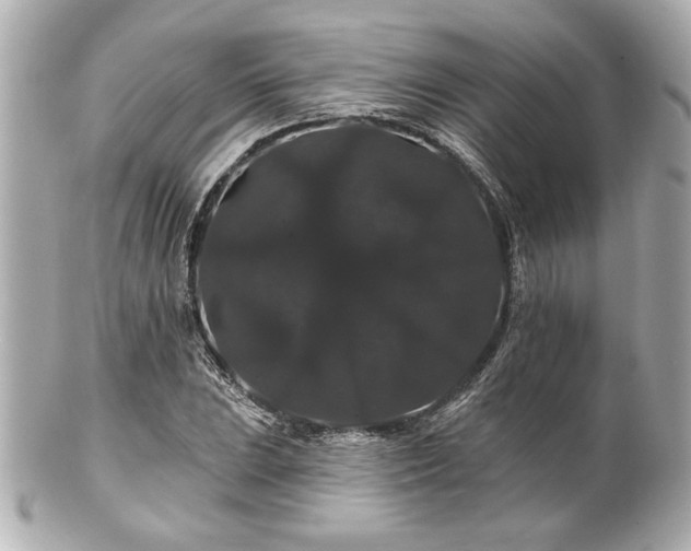 X0000100891023200807011152