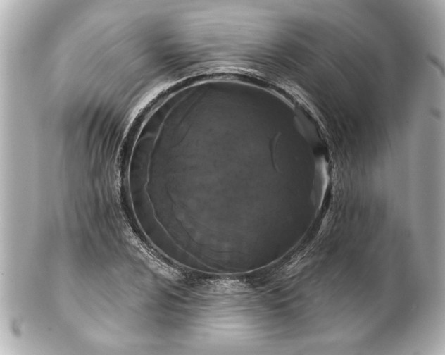 X0000100891024200807011152