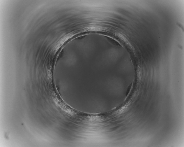 X0000100891025200807011152