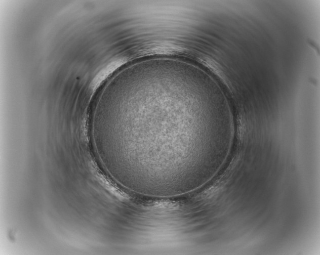 X0000100891026200807011152