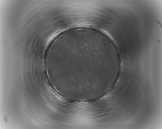 X0000100891027200807011152