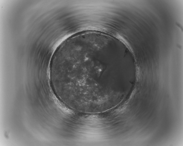X0000100891028200807011152