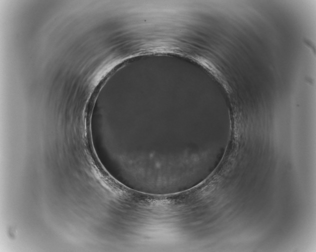 X0000100891031200807011152