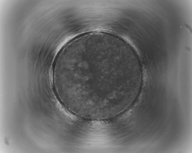 X0000100891032200807011152