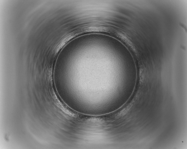 X0000100891033200807011152