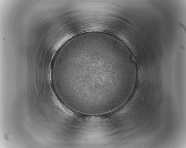 X0000100891034200807011152