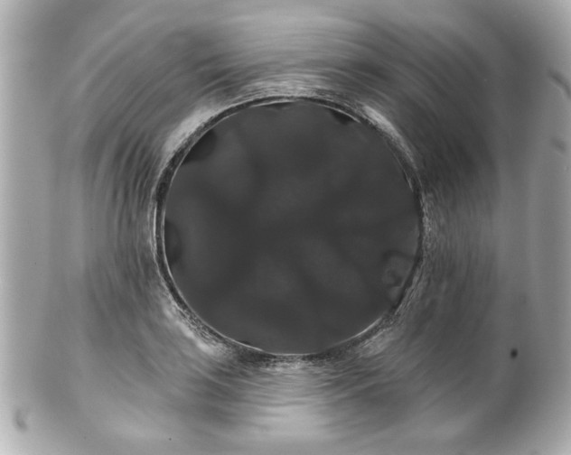 X0000100891035200807011152