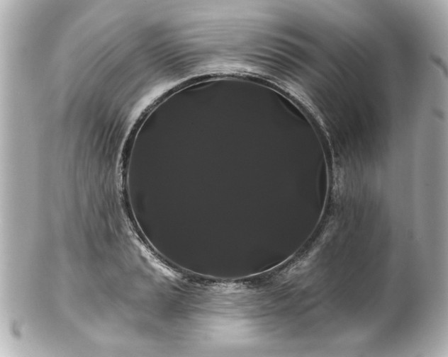 X0000100891037200807011152