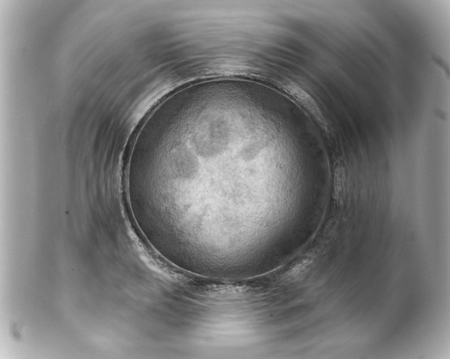 X0000100891039200807011152