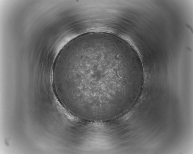 X0000100891040200807011152