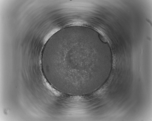 X0000100891042200807011152