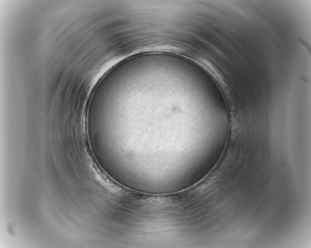 X0000100891044200807011152