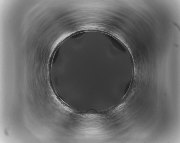 X0000100891045200807011152