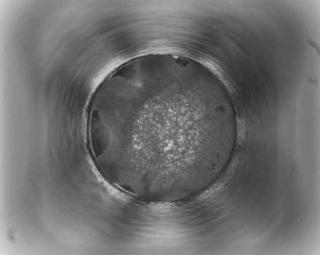 X0000100891046200807011152