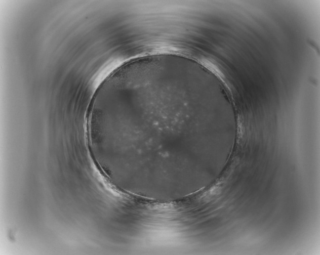 X0000100891047200807011152