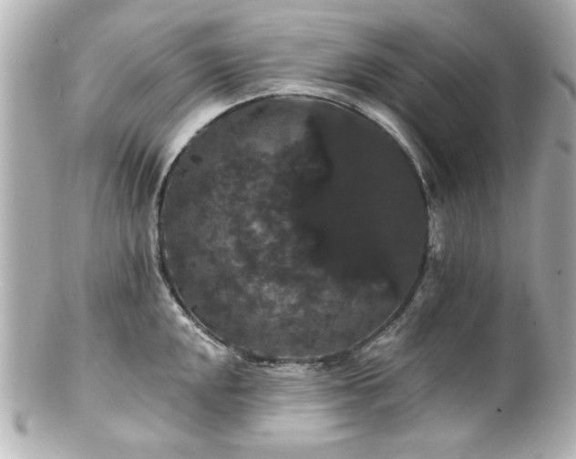 X0000100891048200807011152