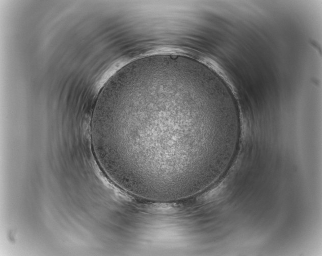 X0000100891049200807011152