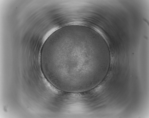 X0000100891050200807011152