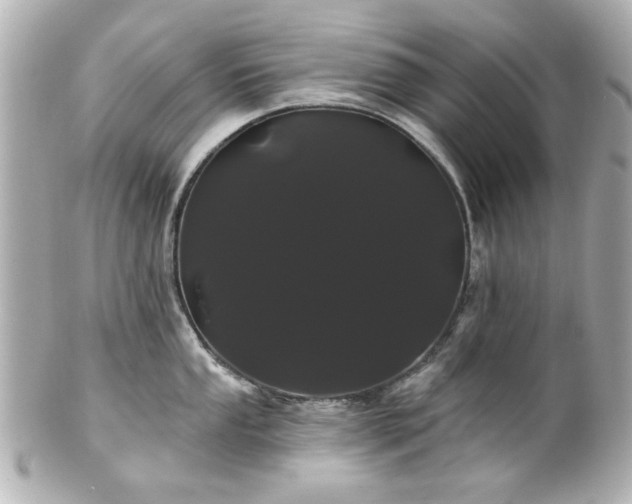X0000100891053200807011152