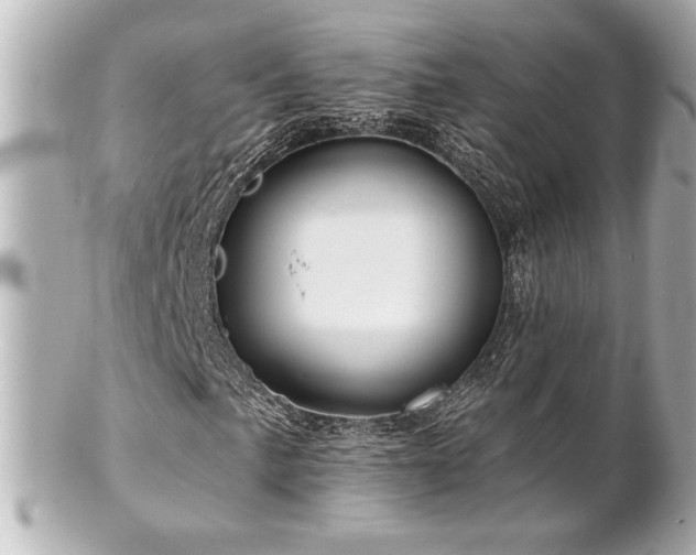X0000100891057200807011152