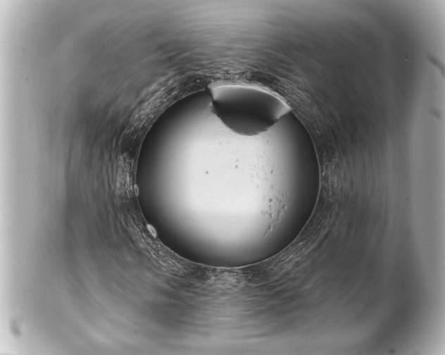 X0000100891058200807011152