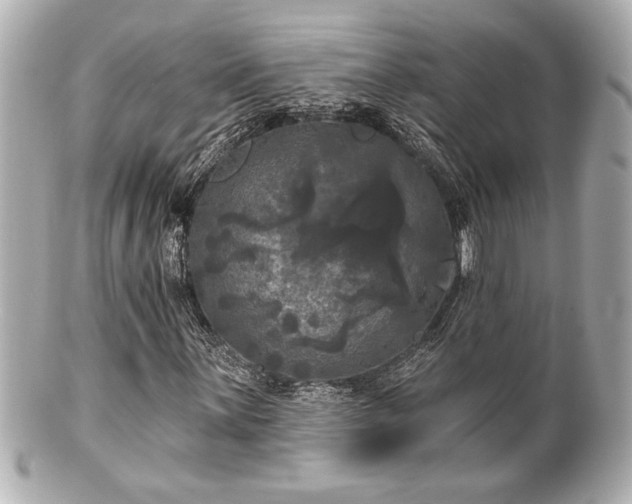 X0000100891059200807011152