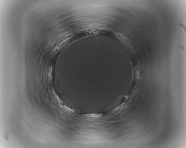X0000100891060200807011152