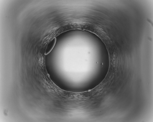 X0000100891061200807011152