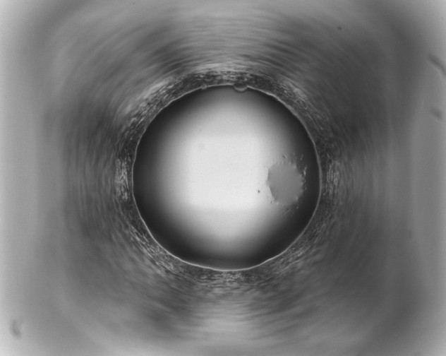 X0000100891062200807011152