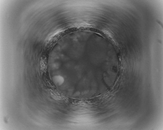 X0000100891063200807011152