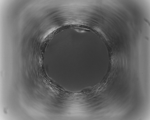 X0000100891064200807011152