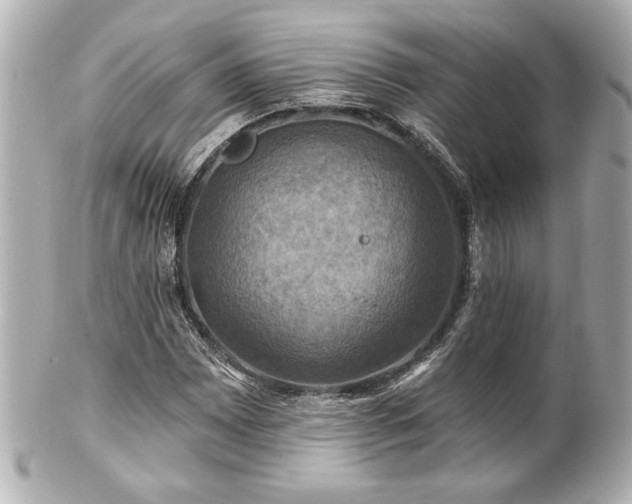 X0000100891065200807011152