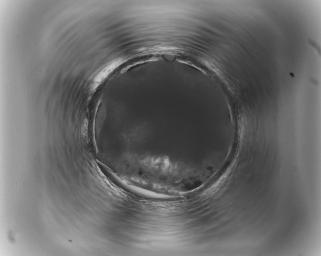 X0000100891066200807011152