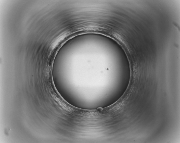 X0000100891067200807011152