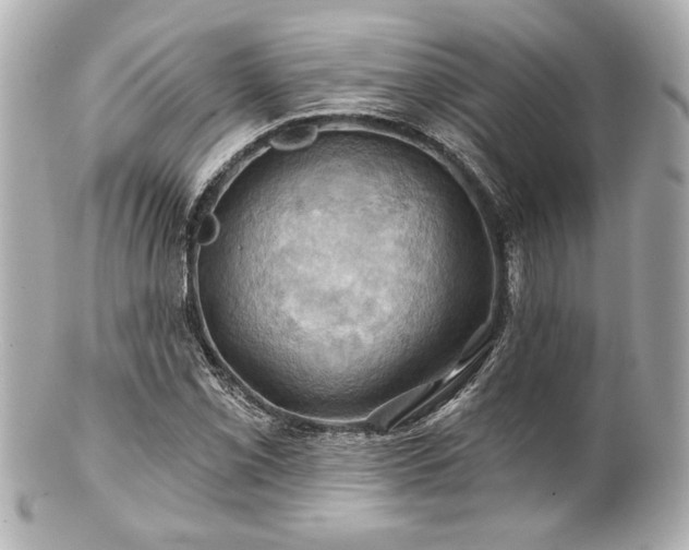 X0000100891069200807011152