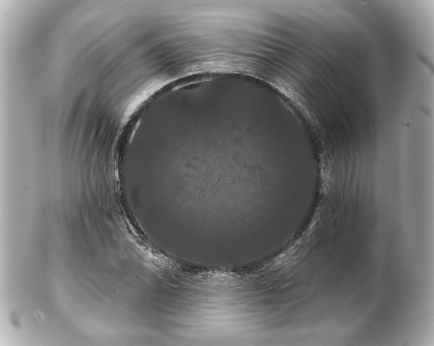 X0000100891070200807011152
