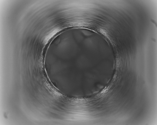 X0000100891071200807011152