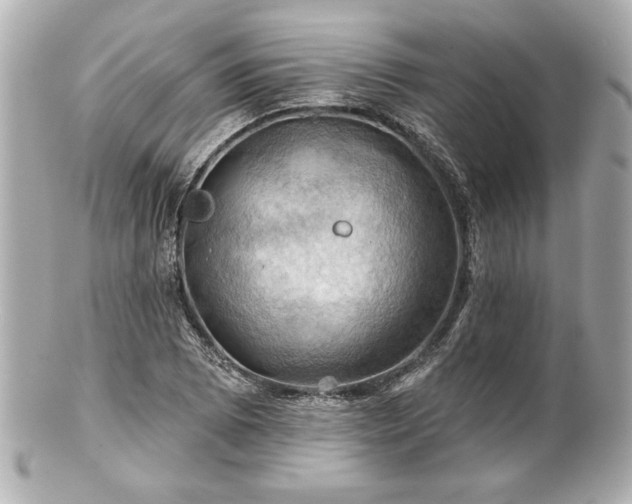 X0000100891073200807011152
