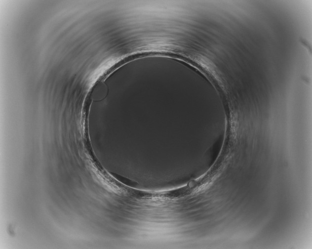 X0000100891077200807011151