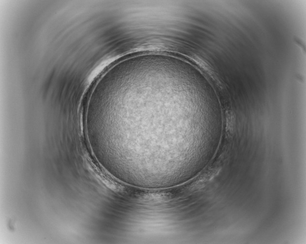 X0000100891078200807011151